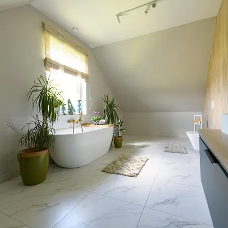 Przejrzysty Tatil Evi