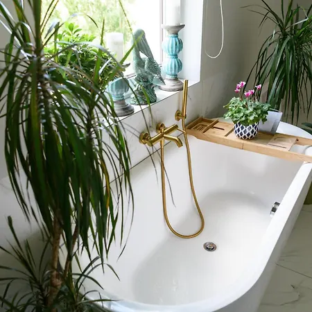 Przejrzysty Semesterbostad