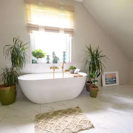 Przejrzysty Tatil Evi *