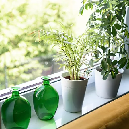 Semesterbostad Przejrzysty