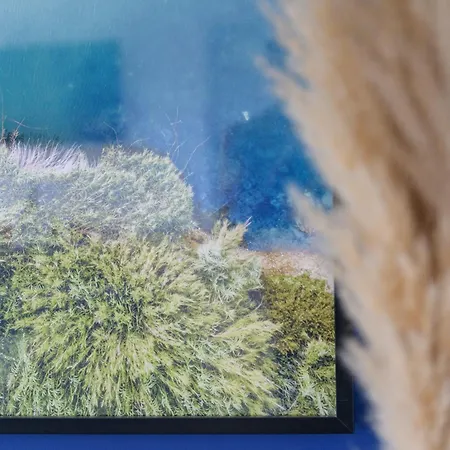 Przejrzysty Semesterbostad