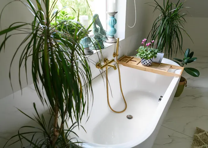 Przejrzysty Semesterbostad