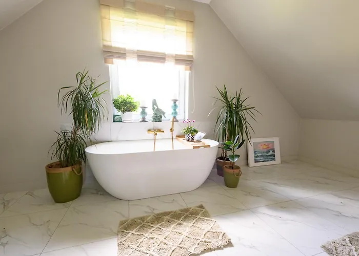 Przejrzysty Semesterbostad *