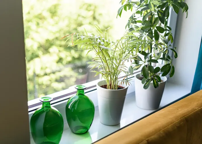 Semesterbostad Przejrzysty