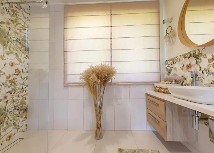 Przejrzysty * Sasino