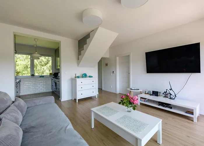 Ferienhaus Przejrzysty Sasino