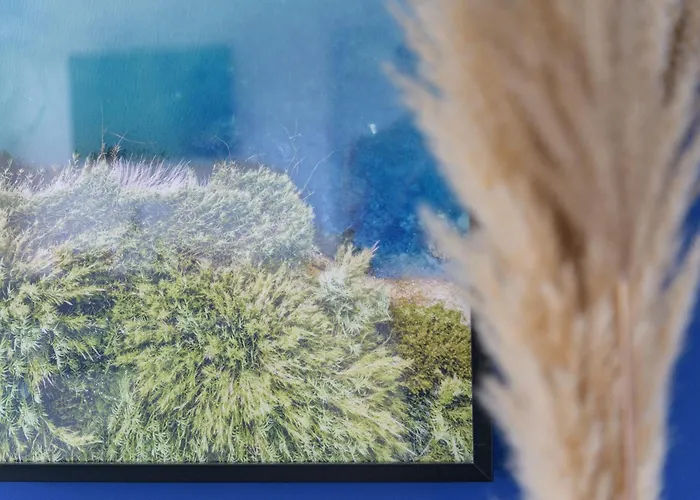 Przejrzysty Semesterbostad