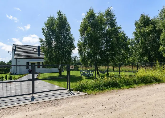 Przejrzysty * Sasino