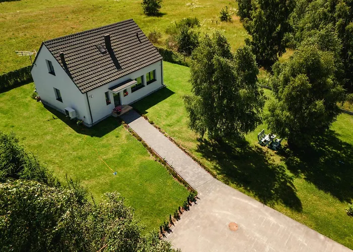 Przejrzysty * Sasino